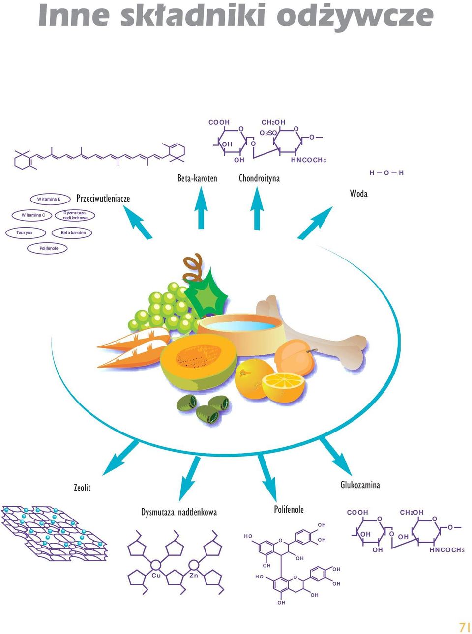 Dyzmutaza nadtlenkowa Tauryna Beta karoten Polifenole Zeolit