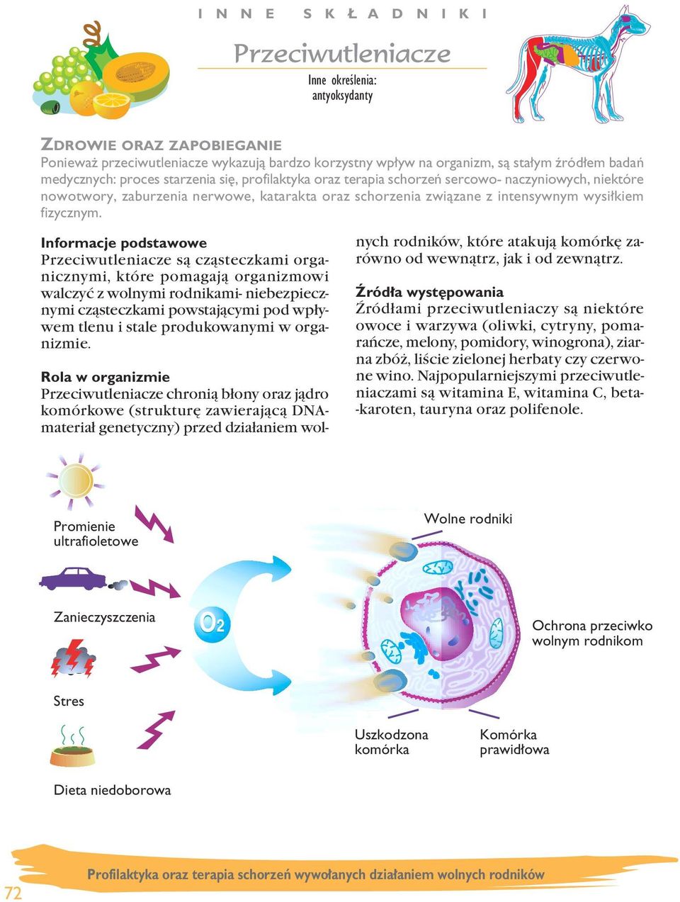 Przeciwutleniacze są cząsteczkami organicznymi, które pomagają organizmowi walczyć z wolnymi rodnikami- niebezpiecznymi cząsteczkami powstającymi pod wpływem tlenu i stale produkowanymi w organizmie.