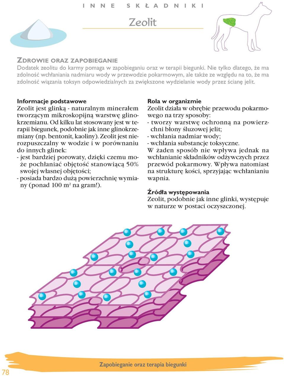 Êcian jelit. Zeolit jest glinką - naturalnym minerałem tworzącym mikroskopijną warstwę glinokrzemianu. d kilku lat stosowany jest w terapii biegunek, podobnie jak inne glinokrzemiany (np.