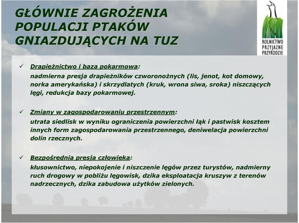 Zmiany w zagospodarowaniu przestrzennym: utrata siedlisk w wyniku ograniczenia powierzchni łąk k i pastwisk kosztem innych form zagospodarowania przestrzennego, deniwelacja