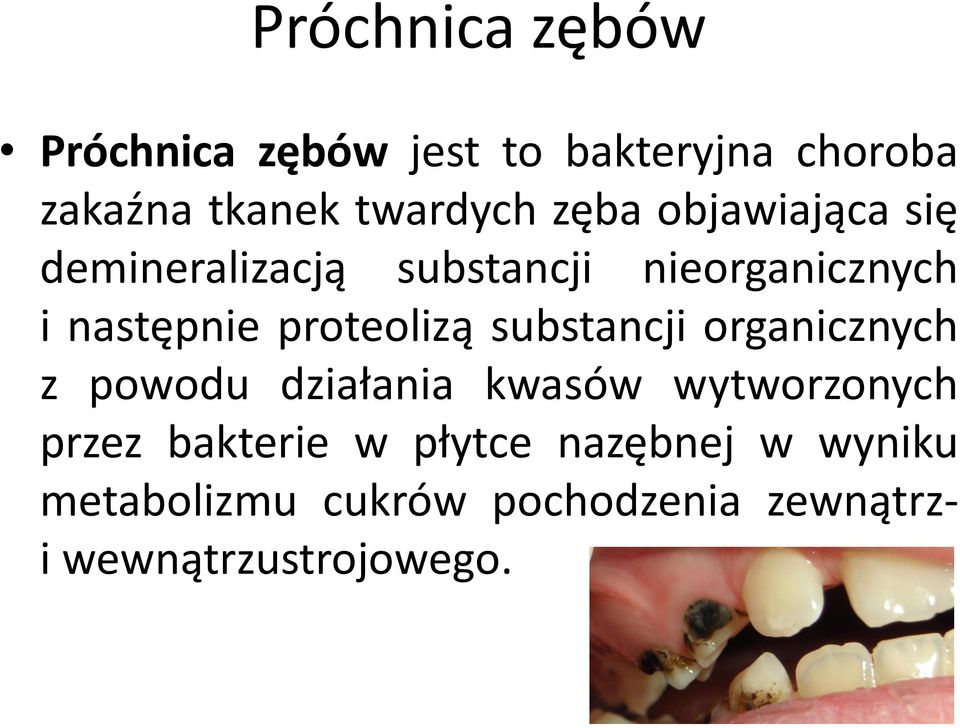 proteolizą substancji organicznych z powodu działania kwasów wytworzonych przez