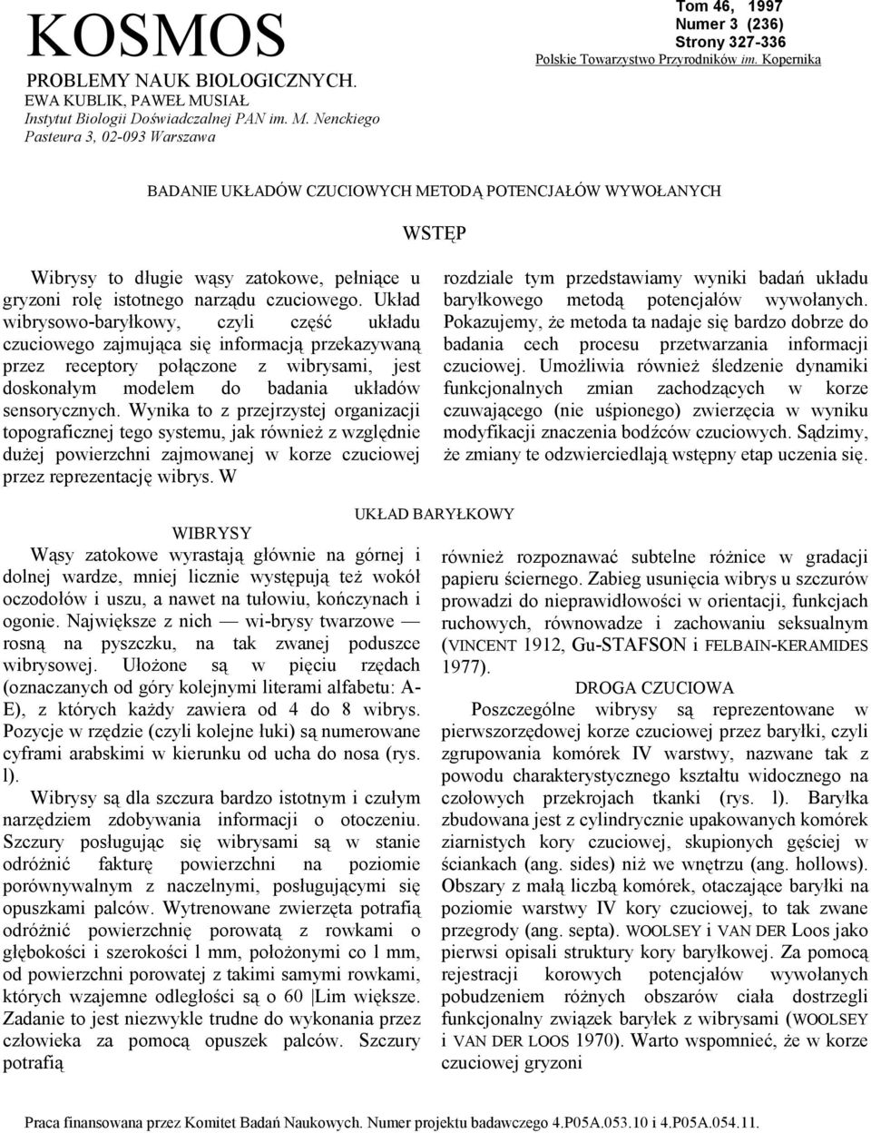 Układ wibrysowo-baryłkowy, czyli część układu czuciowego zajmująca się informacją przekazywaną przez receptory połączone z wibrysami, jest doskonałym modelem do badania układów sensorycznych.