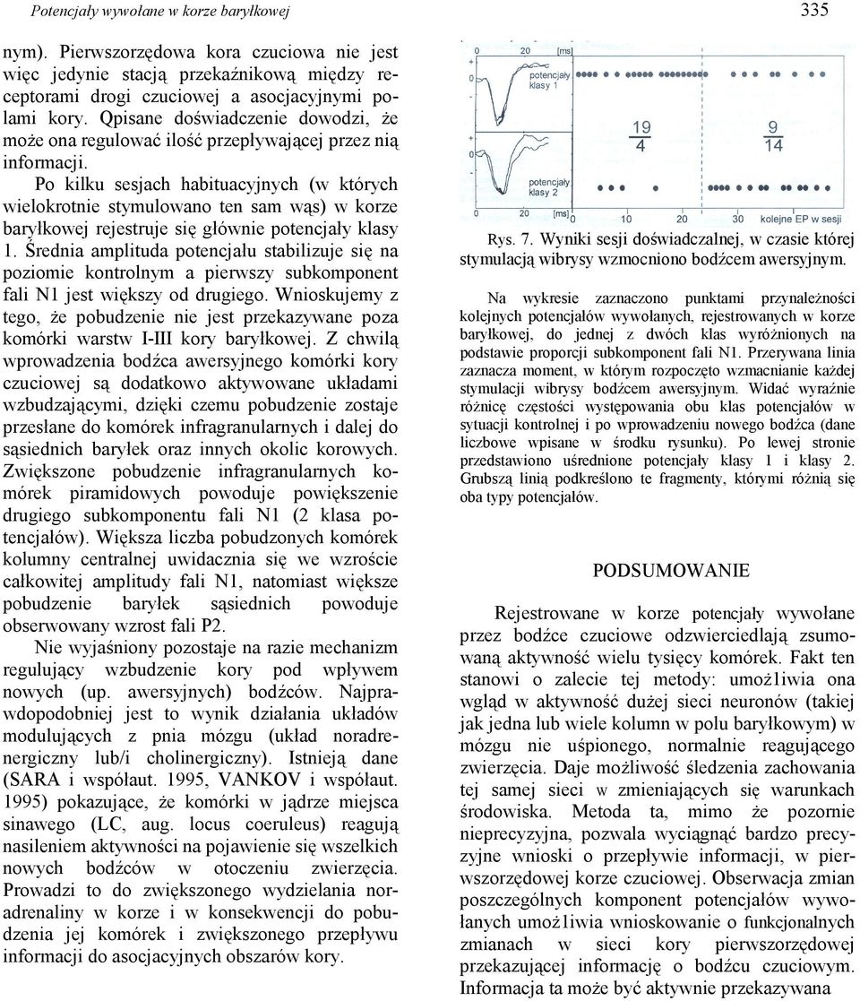 Po kilku sesjach habituacyjnych (w których wielokrotnie stymulowano ten sam wąs) w korze baryłkowej rejestruje się głównie potencjały klasy 1.