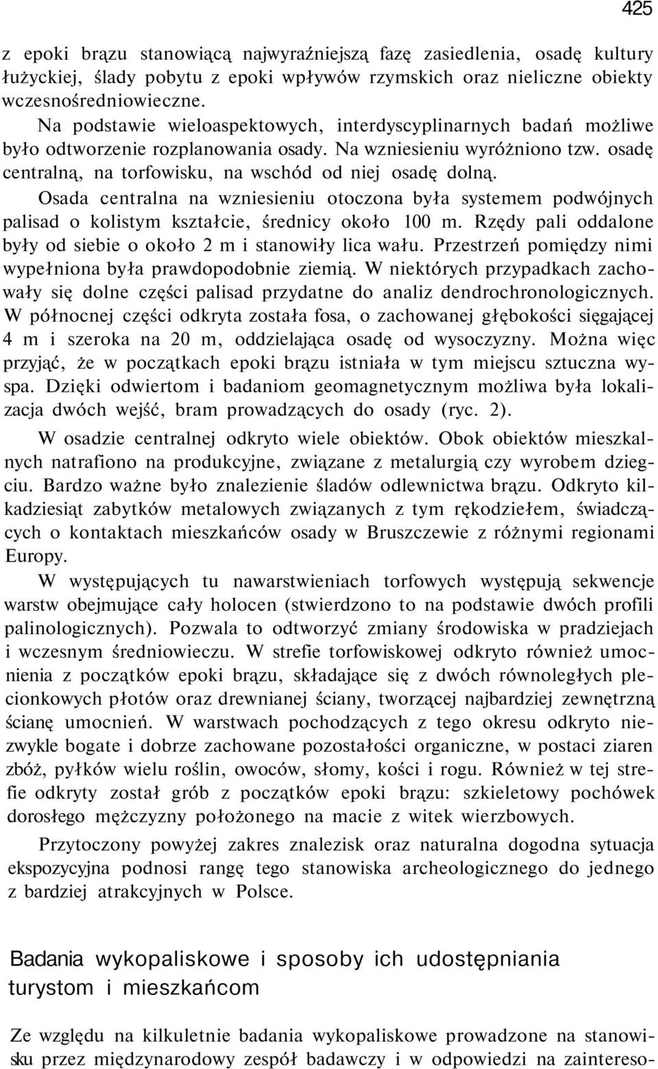 Osada centralna na wzniesieniu otoczona była systemem podwójnych palisad o kolistym kształcie, średnicy około 100 m. Rzędy pali oddalone były od siebie o około 2 m i stanowiły lica wału.