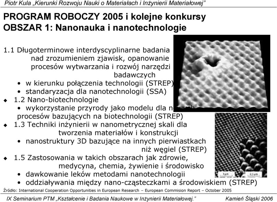 nanotechnologii (SSA) 1.2 Nano-biotechnologie wykorzystanie przyrody jako modelu dla nowych procesów bazujących na biotechnologii (STREP) 1.