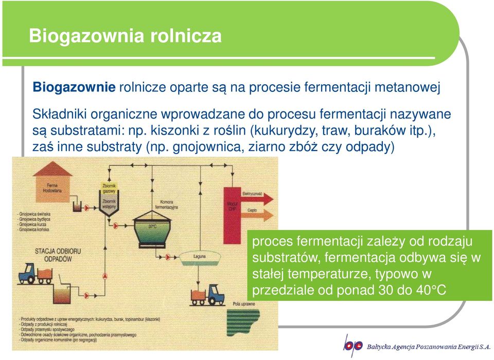 kiszonki z roślin (kukurydzy, traw, buraków itp.), zaś inne substraty (np.