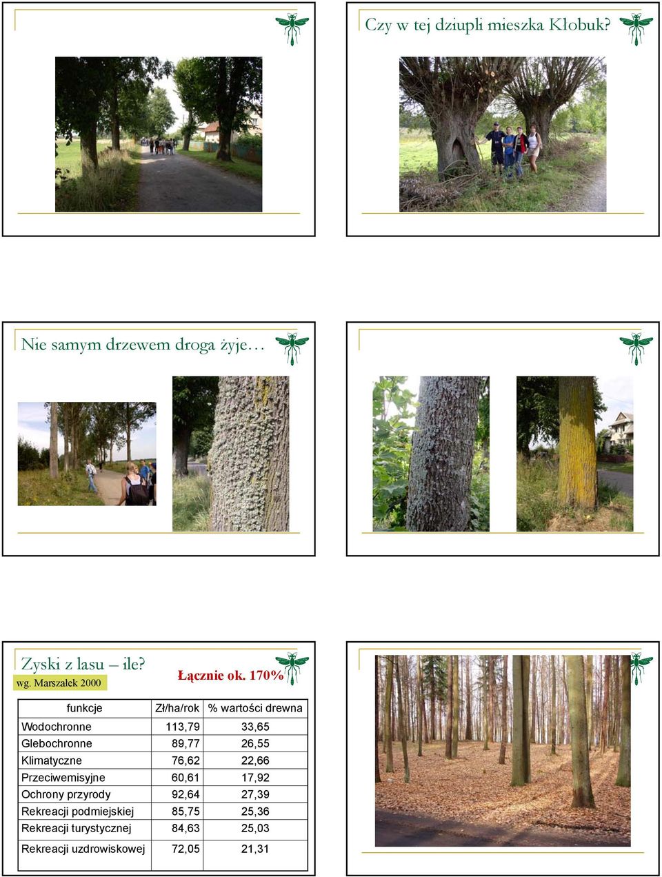 170% funkcje Wodochronne Glebochronne Klimatyczne Przeciwemisyjne Ochrony przyrody Rekreacji