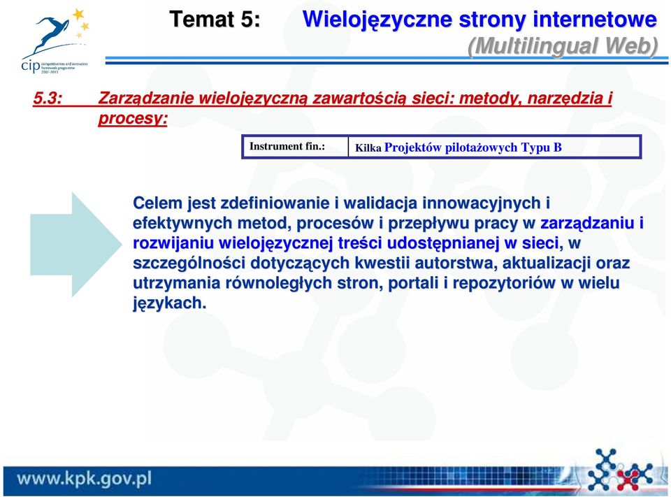 : Kilka Projektów pilotaŝowych Typu B Celem jest zdefiniowanie i walidacja innowacyjnych i efektywnych metod, procesów w i przepływu