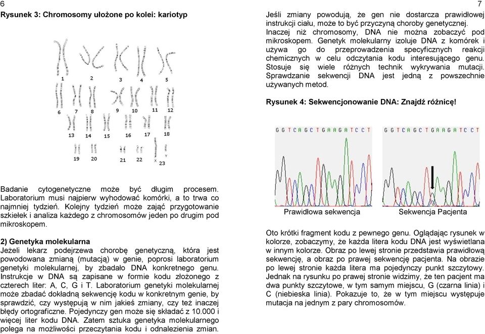 Genetyk molekularny izoluje DNA z komórek i używa go do przeprowadzenia specyficznych reakcji chemicznych w celu odczytania kodu interesującego genu.