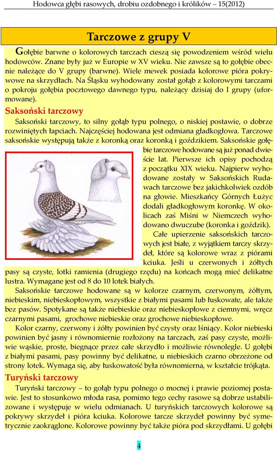 Saksoński tarczowy Saksoński tarczowy, to silny gołąb typu polnego, o niskiej postawie, o dobrze rozwiniętych łapciach. Najczęściej hodowana jest odmiana gładkogłowa.