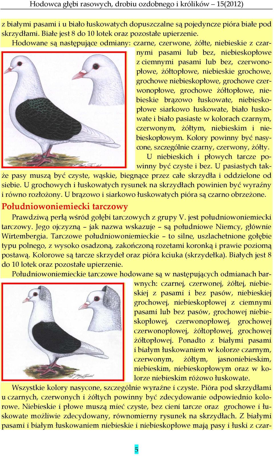 niebieskopłowe, grochowe czerwonopłowe, grochowe żółtopłowe, niebieskie brązowo łuskowate, niebieskopłowe siarkowo łuskowate, biało łuskowate i biało pasiaste w kolorach czarnym, czerwonym, żółtym,