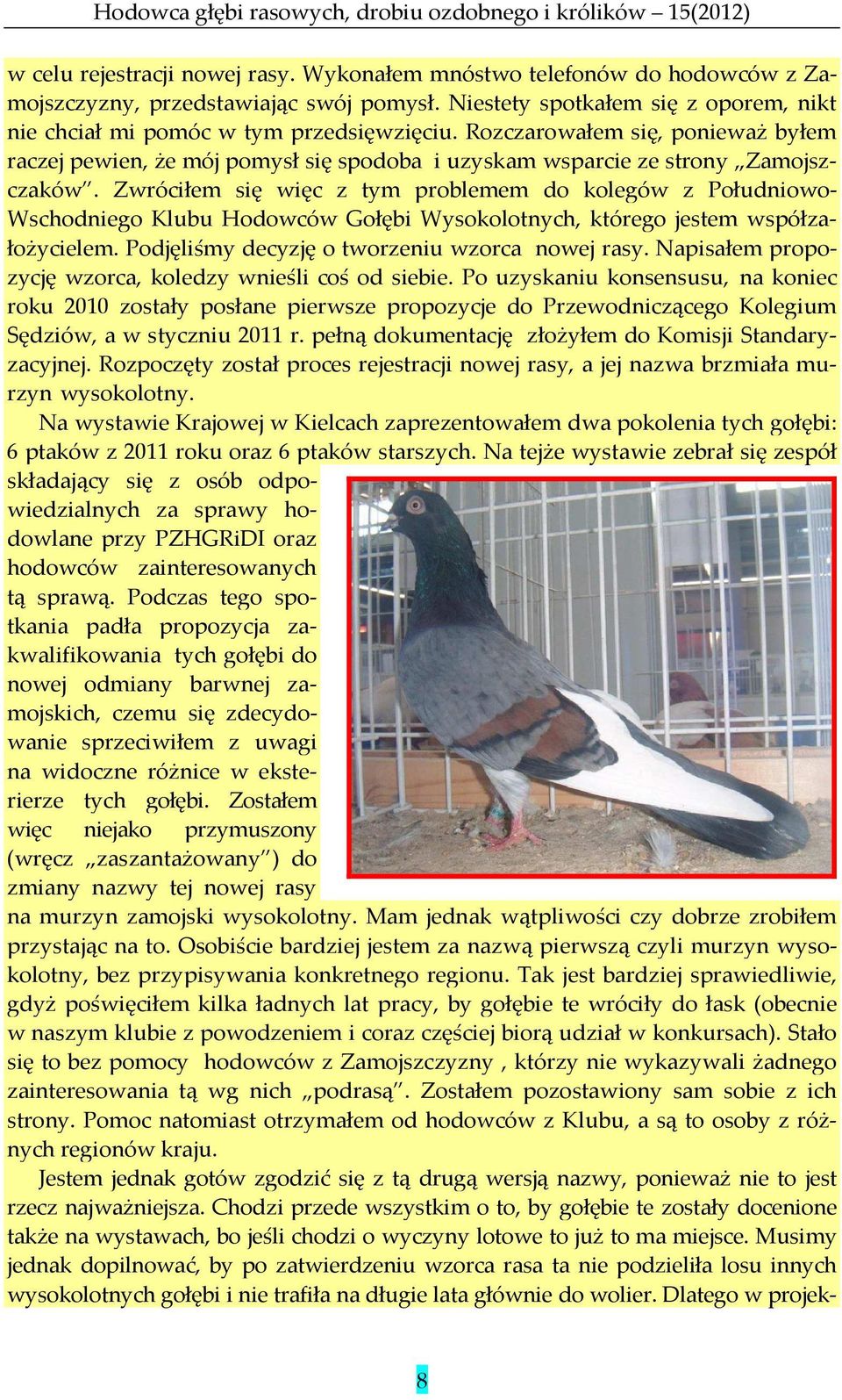 Zwróciłem się więc z tym problemem do kolegów z Południowo- Wschodniego Klubu Hodowców Gołębi Wysokolotnych, którego jestem współzałożycielem. Podjęliśmy decyzję o tworzeniu wzorca nowej rasy.