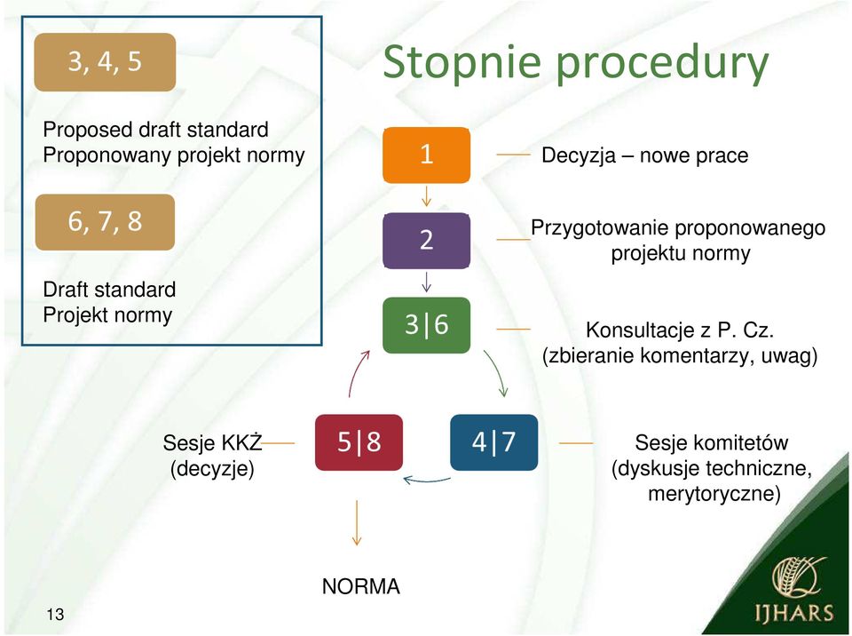 proponowanego projektu normy Konsultacje z P. Cz.