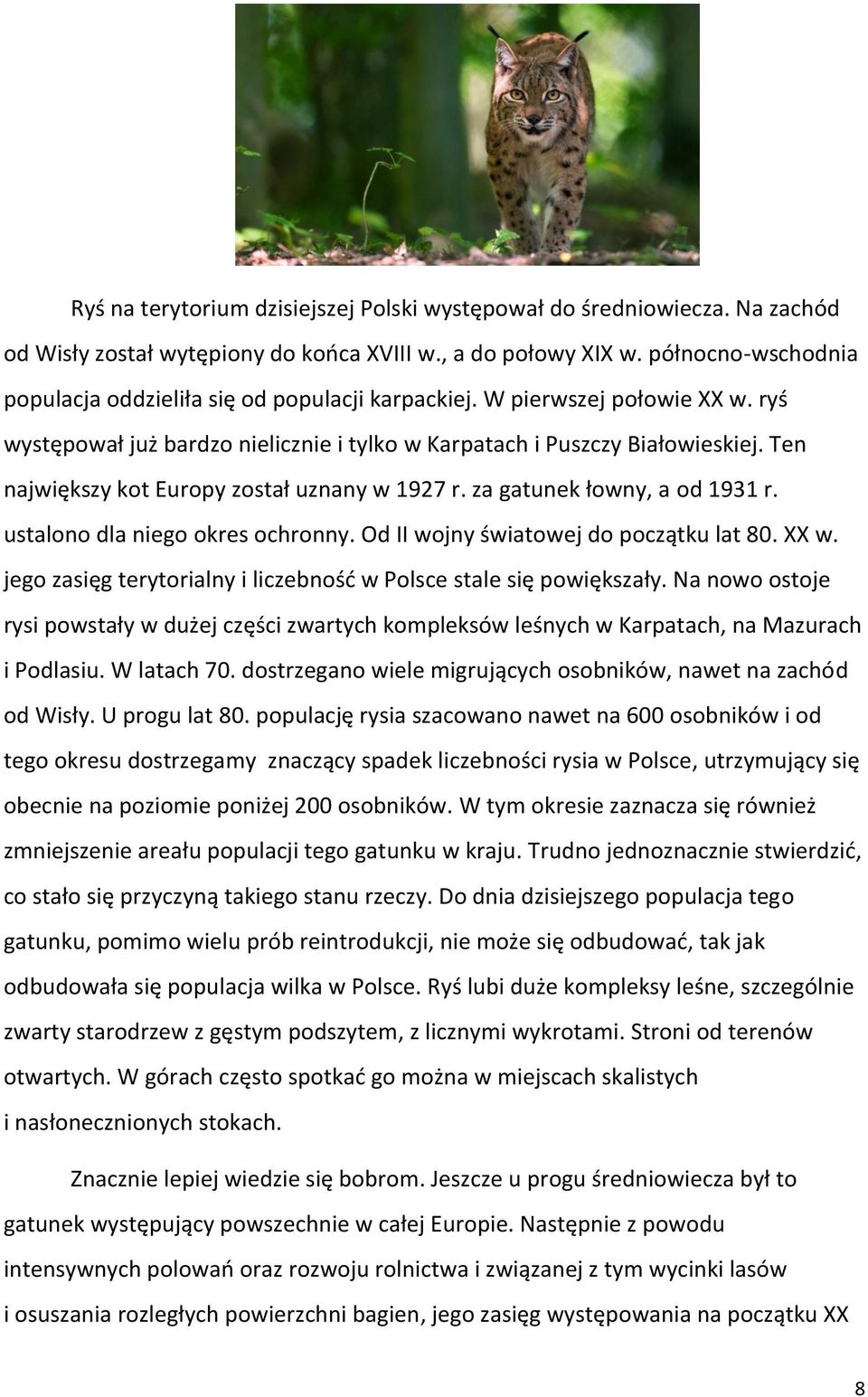 Ten największy kot Europy został uznany w 1927 r. za gatunek łowny, a od 1931 r. ustalono dla niego okres ochronny. Od II wojny światowej do początku lat 80. XX w.