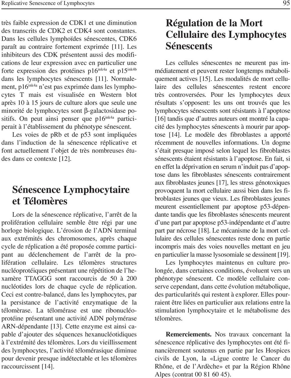 Les inhibiteurs des CDK présentent aussi des modifications de leur expression avec en particulier une forte expression des protéines p16 ink4a et p15 ink4b dans les lymphocytes sénescents [11].