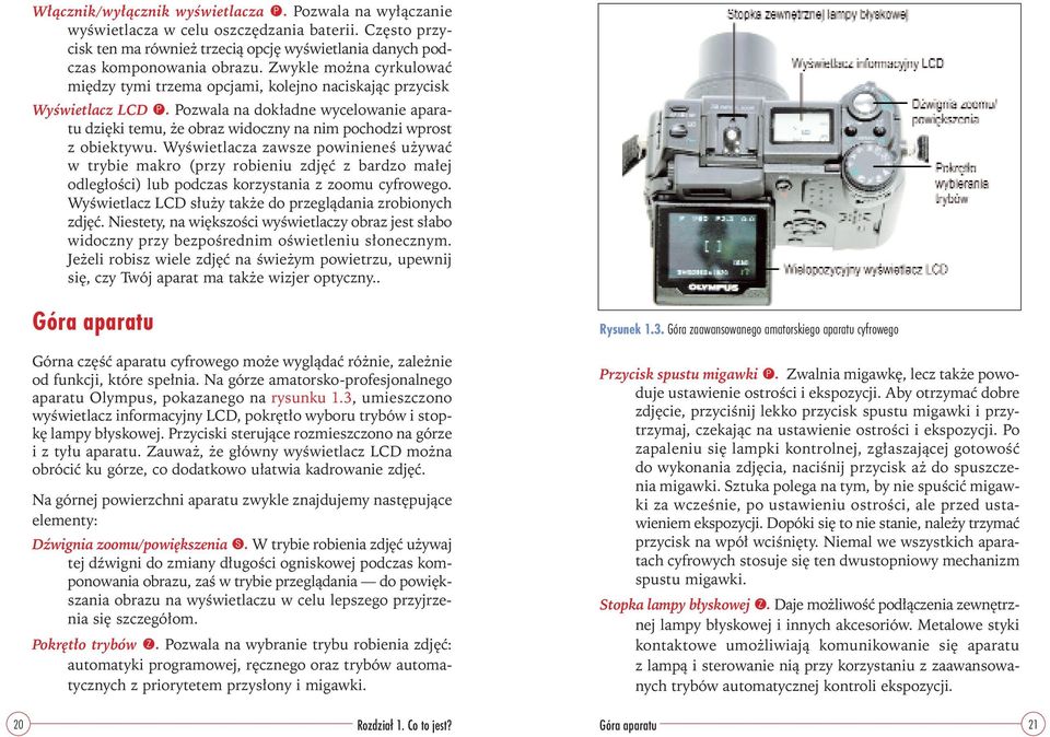 Pozwala na dokładne wycelowanie aparatu dzięki temu, że obraz widoczny na nim pochodzi wprost z obiektywu.