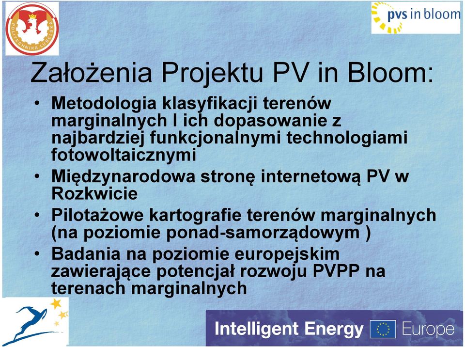 stronę internetową PV w Rozkwicie Pilotażowe kartografie terenów marginalnych (na poziomie