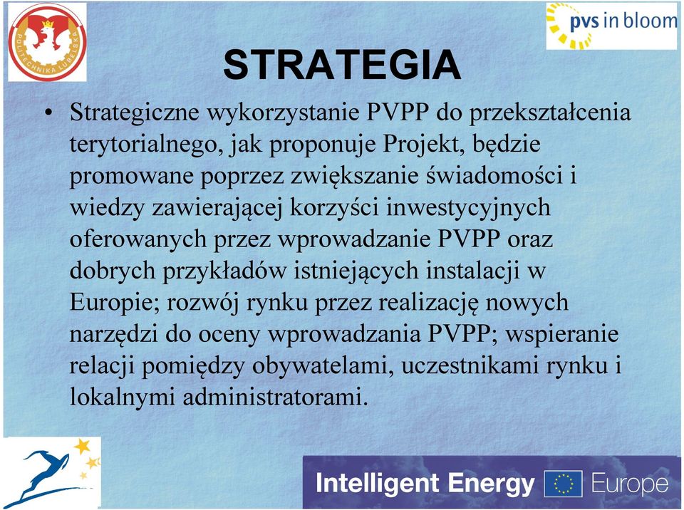 wprowadzanie PVPP oraz dobrych przykładów istniejących instalacji w Europie; rozwój rynku przez realizację