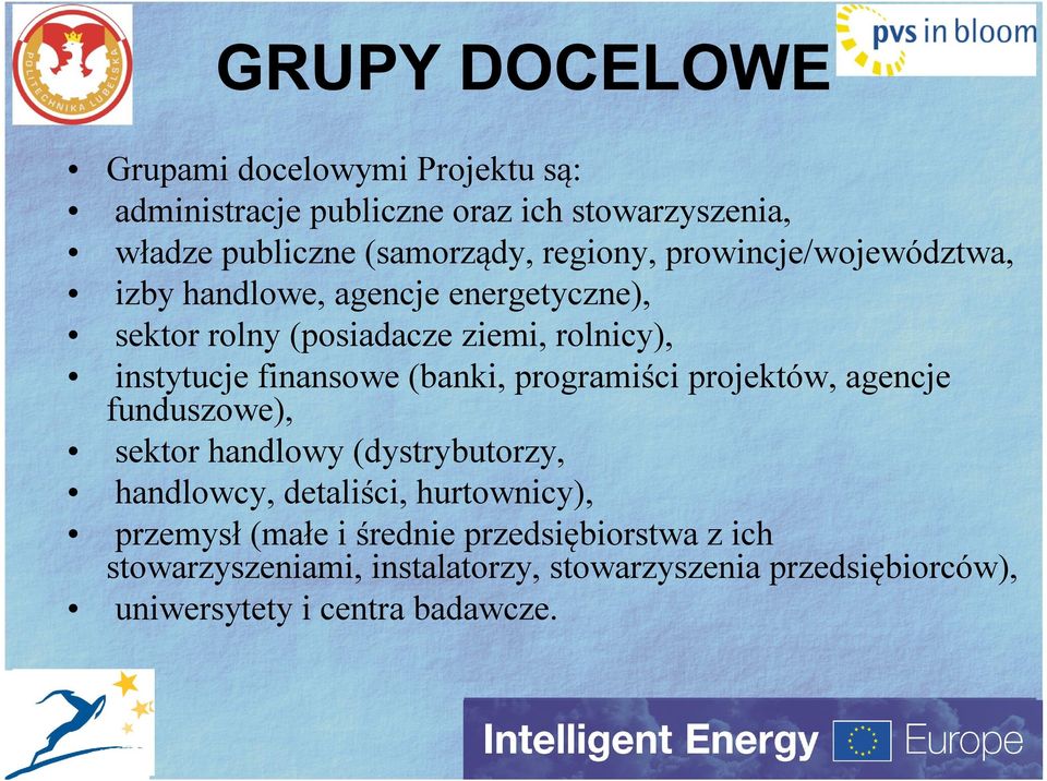 finansowe (banki, programiści projektów, agencje funduszowe), sektor handlowy (dystrybutorzy, handlowcy, detaliści, hurtownicy),