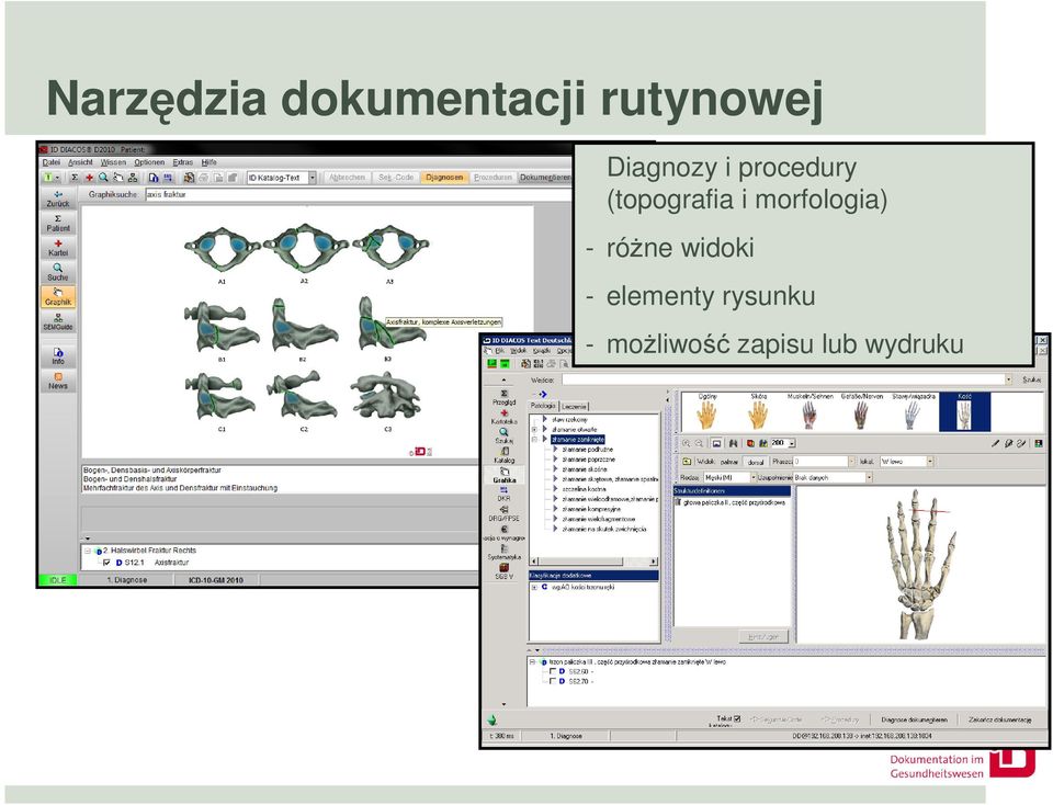 morfologia) - róŝne widoki -