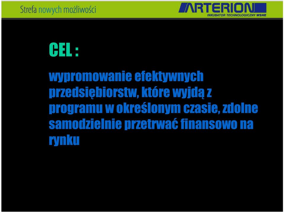 programu w określonym czasie,