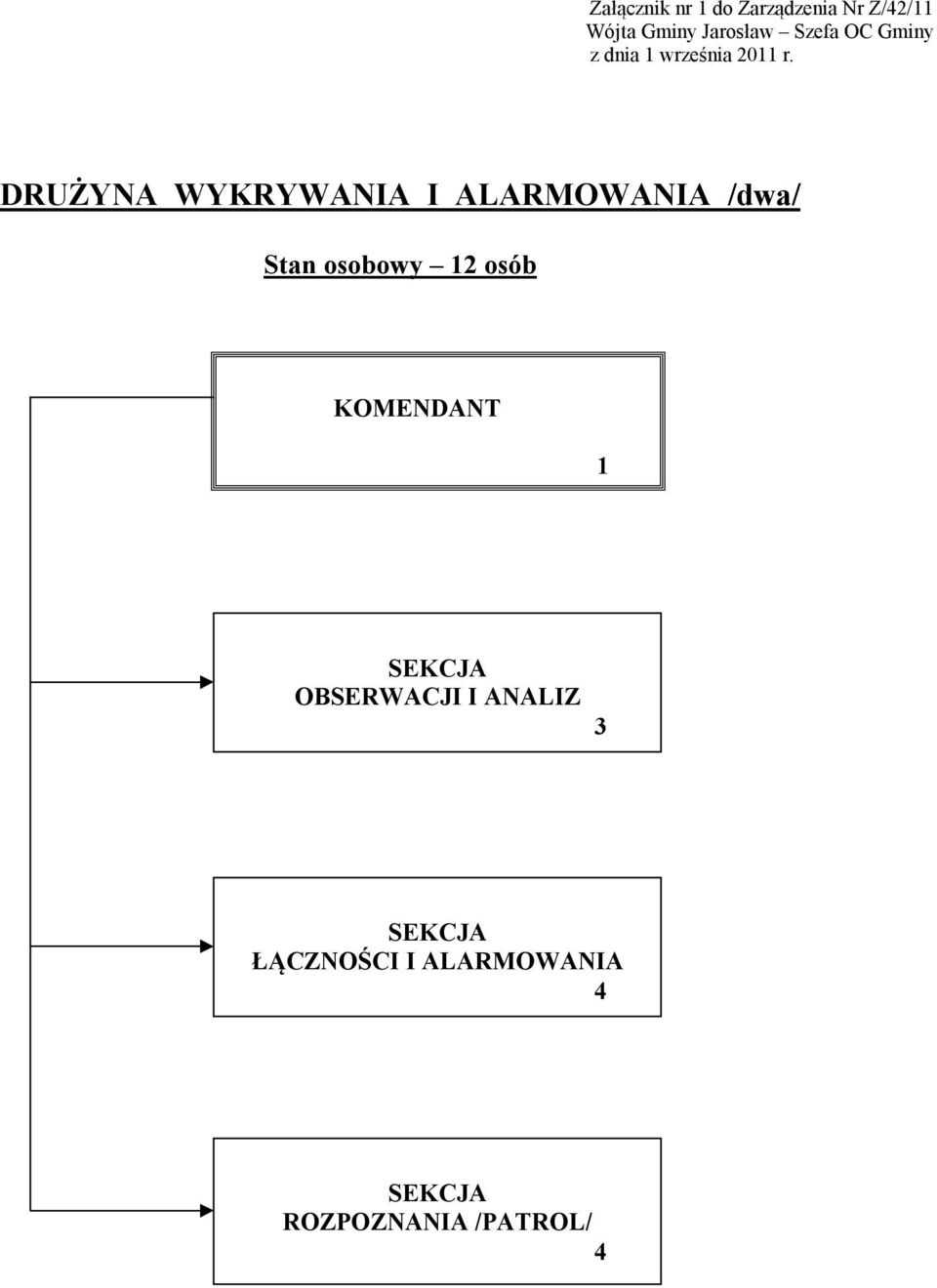 DRUŻYNA WYKRYWANIA I ALARMOWANIA /dwa/ Stan osobowy 12 osób