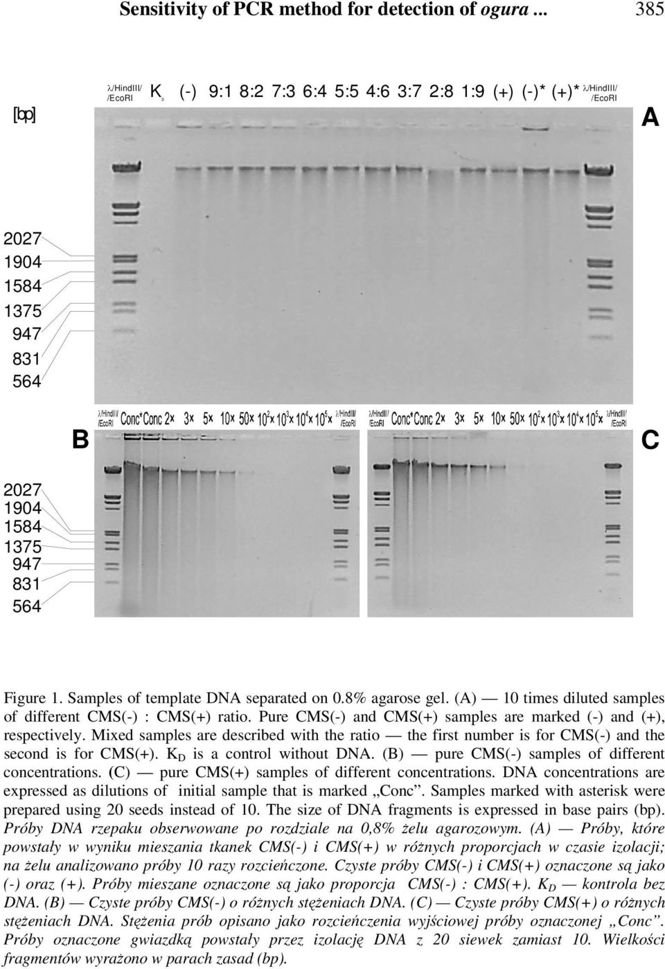 Mixed samples are described with the ratio the first number is for CMS(-) and the second is for CMS(+). K D is a control without DNA. (B) pure CMS(-) samples of different concentrations.