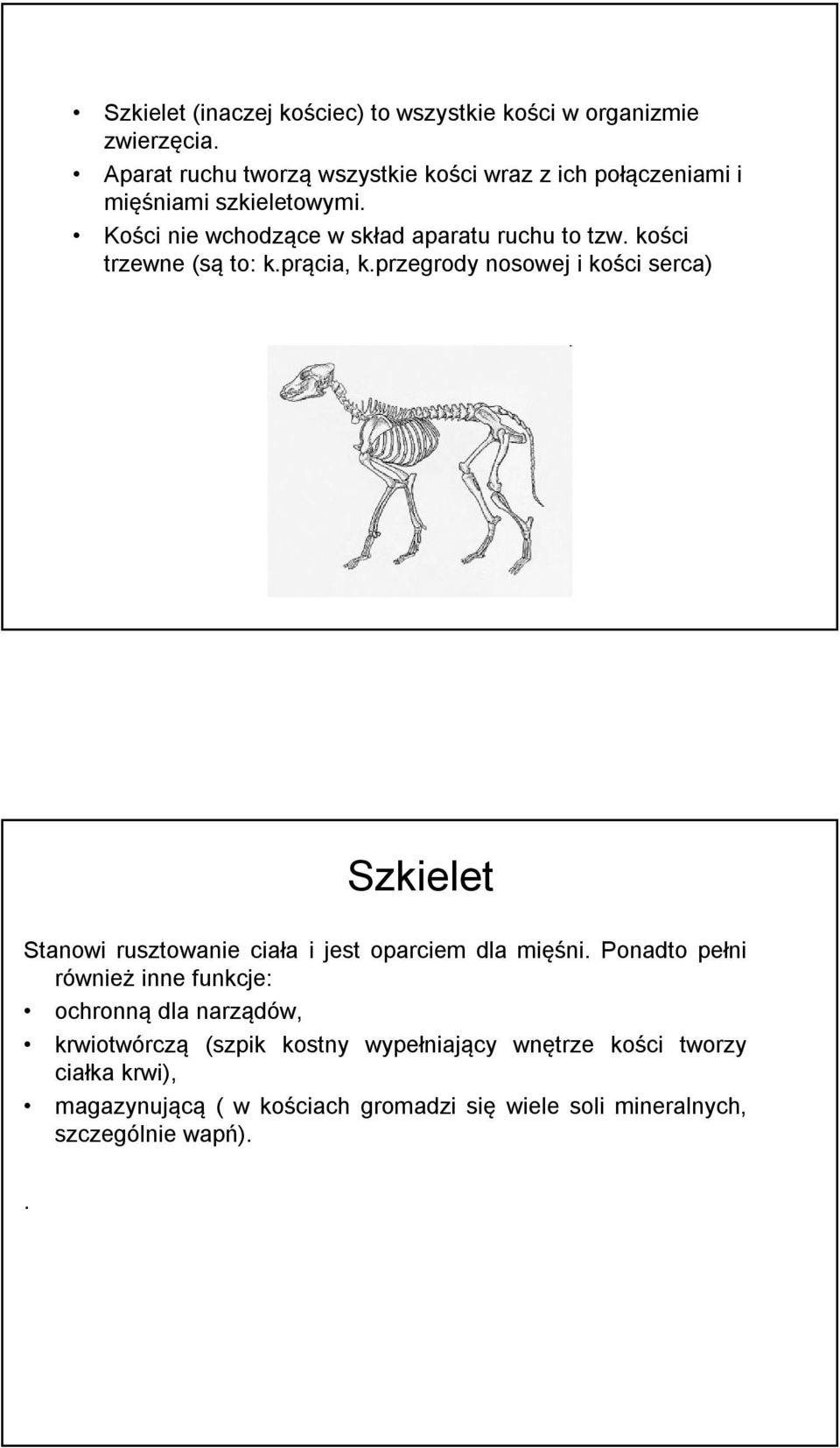 kości trzewne (są to: k.prącia, k.przegrody nosowej i kości serca) Szkielet Stanowi rusztowanie ciała i jest oparciem dla mięśni.