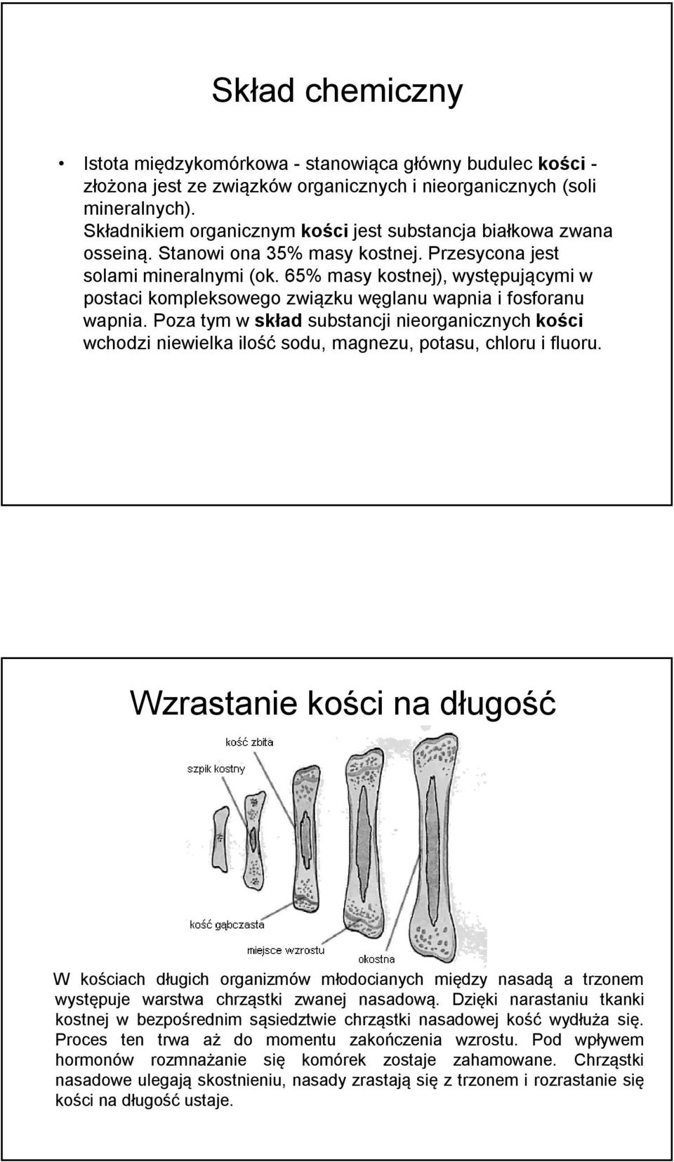 65% masy kostnej), występującymi w postaci kompleksowego związku węglanu wapnia i fosforanu wapnia.