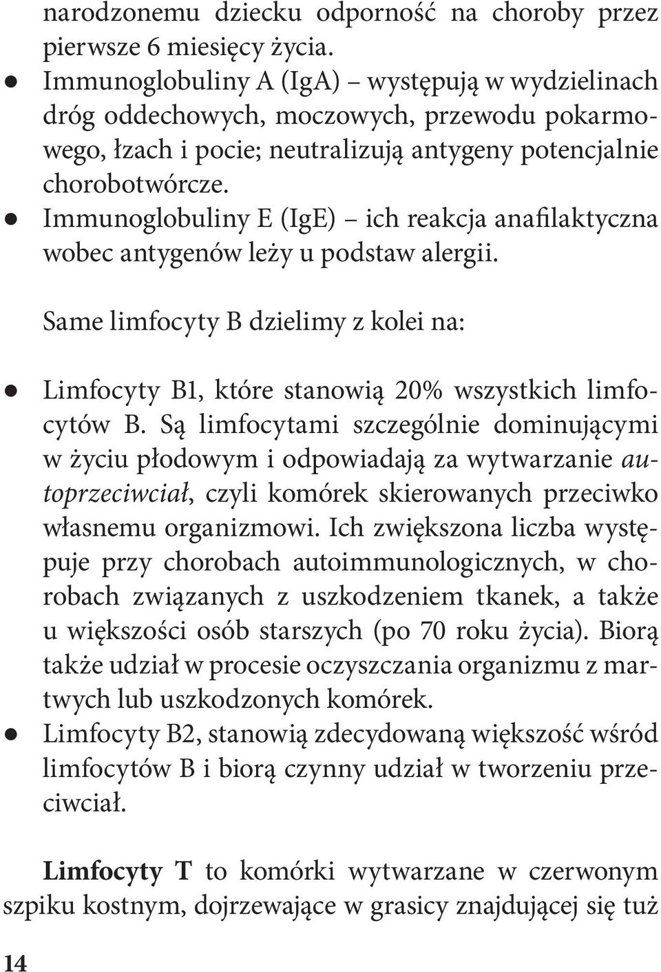 Immunoglobuliny E (IgE) ich reakcja anafilaktyczna wobec antygenów leży u podstaw alergii. Same limfocyty B dzielimy z kolei na: Limfocyty B1, które stanowią 20% wszystkich limfocytów B.