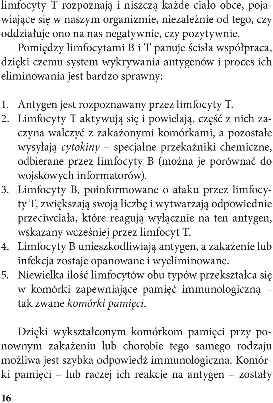 Limfocyty T aktywują się i powielają, część z nich zaczyna walczyć z zakażonymi komórkami, a pozostałe wysyłają cytokiny specjalne przekaźniki chemiczne, odbierane przez limfocyty B (można je