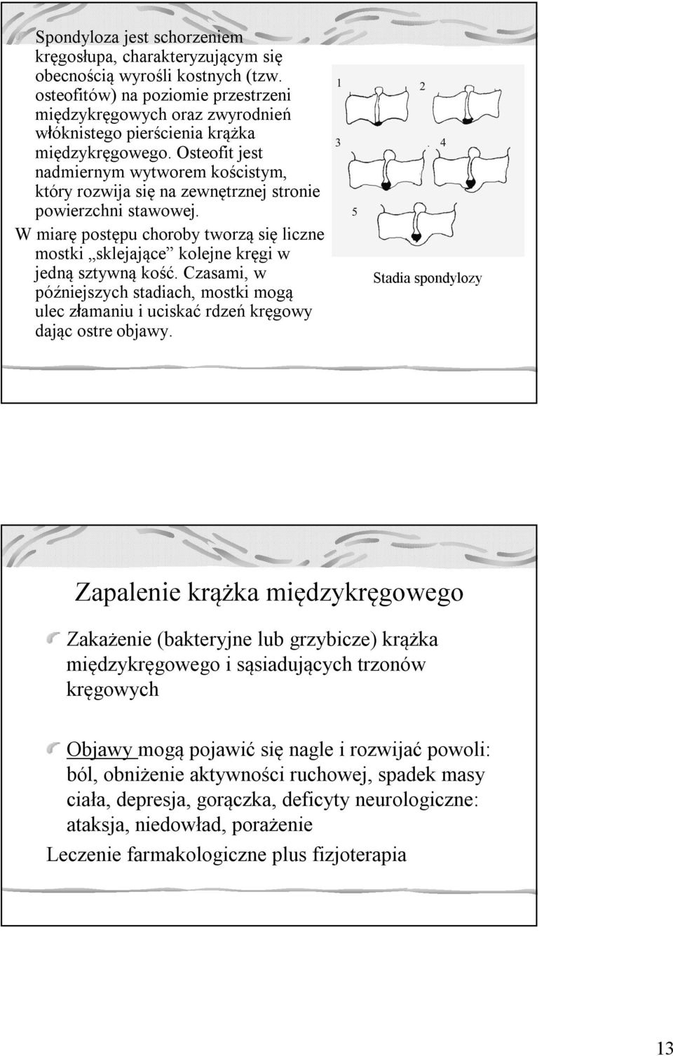 Osteofit jest nadmiernym wytworem kościstym, który rozwija się na zewnętrznej stronie powierzchni stawowej.