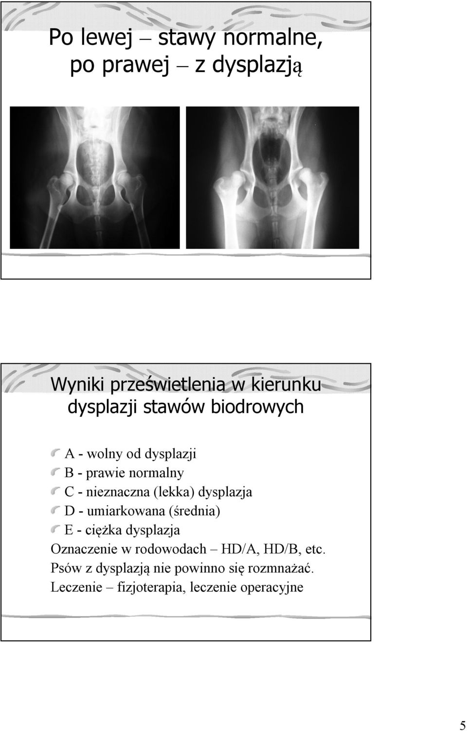 dysplazja D - umiarkowana (średnia) E - ciężka dysplazja Oznaczenie w rodowodach HD/A,