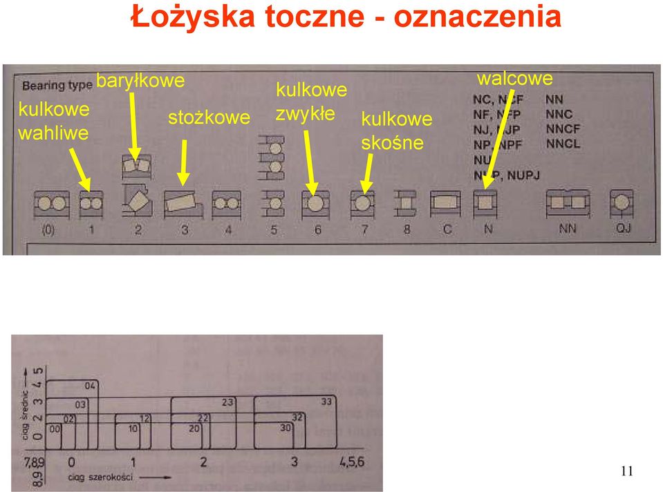 wahliwe baryłkowe