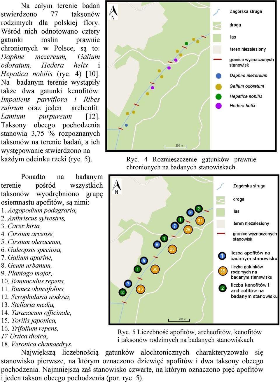 Na badanym terenie wystąpiły także dwa gatunki kenofitów: Impatiens parviflora i Ribes rubrum oraz jeden archeofit: Lamium purpureum [12].