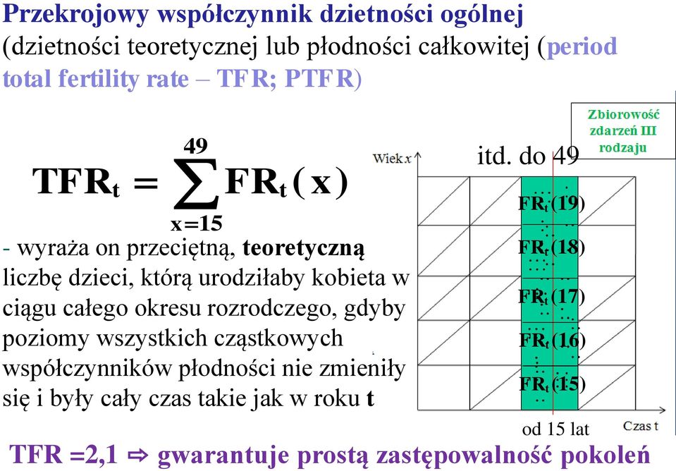 okresu rozrodczego, gdyby poziomy wszystkich cząstkowych współczynników płodności nie zmieniły się i były cały czas takie jak