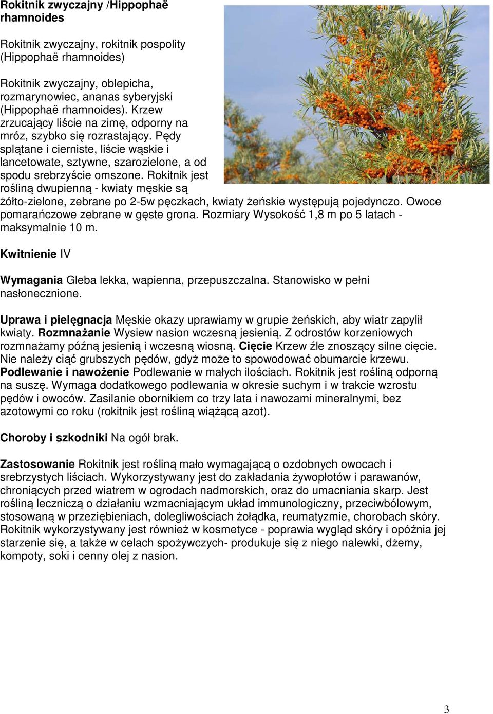 Rokitnik jest rośliną dwupienną - kwiaty męskie są żółto-zielone, zebrane po 2-5w pęczkach, kwiaty żeńskie występują pojedynczo. Owoce pomarańczowe zebrane w gęste grona.