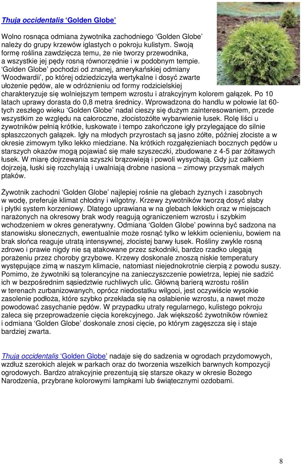 Golden Globe pochodzi od znanej, amerykańskiej odmiany Woodwardii, po której odziedziczyła wertykalne i dosyć zwarte ułożenie pędów, ale w odróżnieniu od formy rodzicielskiej charakteryzuje się