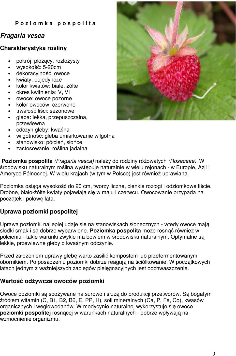 stanowisko: półcień, słońce zastosowanie: roślina jadalna Poziomka pospolita (Fragaria vesca) należy do rodziny różowatych (Rosaceae).