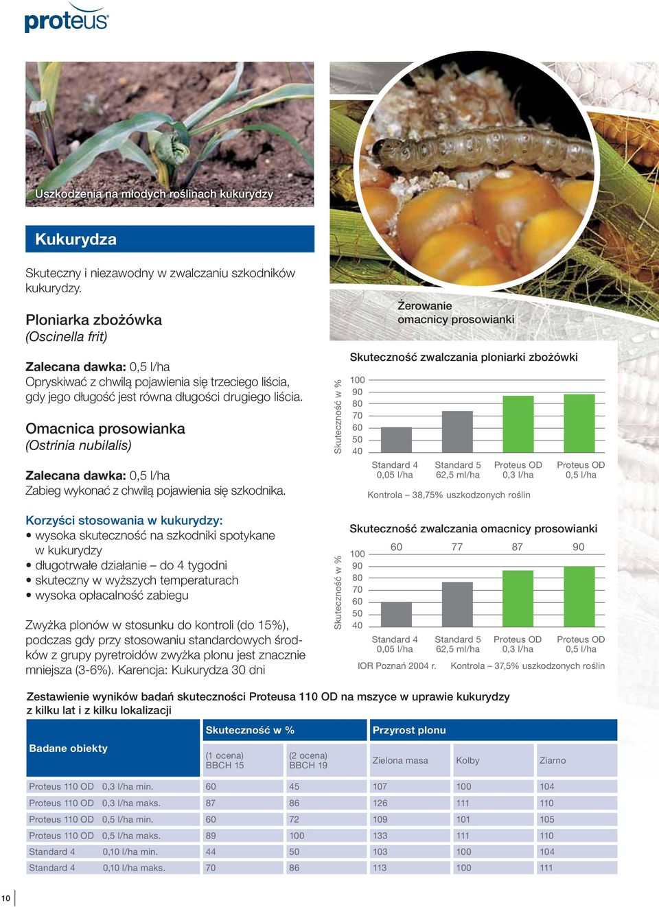 Omacnica prosowianka (Ostrinia nubilalis) Zalecana dawka: 0,5 l/ha Zabieg wykonać z chwilą pojawienia się szkodnika.