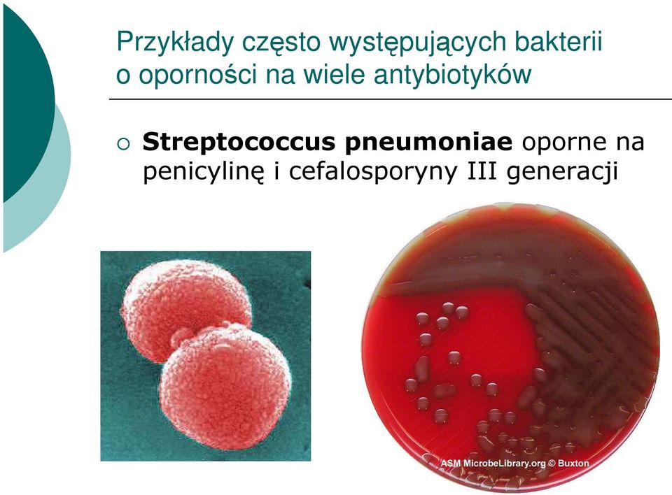 antybiotyków Streptococcus pneumoniae