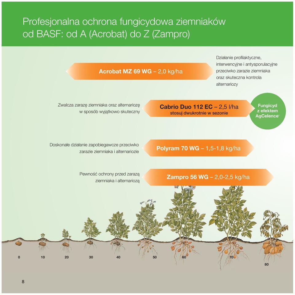 sposób wyjątkowo skuteczny Cabrio Duo 112 EC 2,5 l/ha stosuj dwukrotnie w sezonie Fungicyd z efektem AgCelence Doskonałe działanie zapobiegawcze