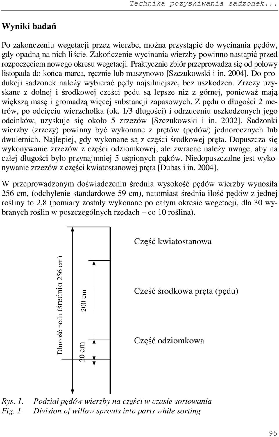 Praktycznie zbiór przeprowadza się od połowy listopada do końca marca, ręcznie lub maszynowo [Szczukowski i in. 2004]. Do produkcji sadzonek naleŝy wybierać pędy najsilniejsze, bez uszkodzeń.