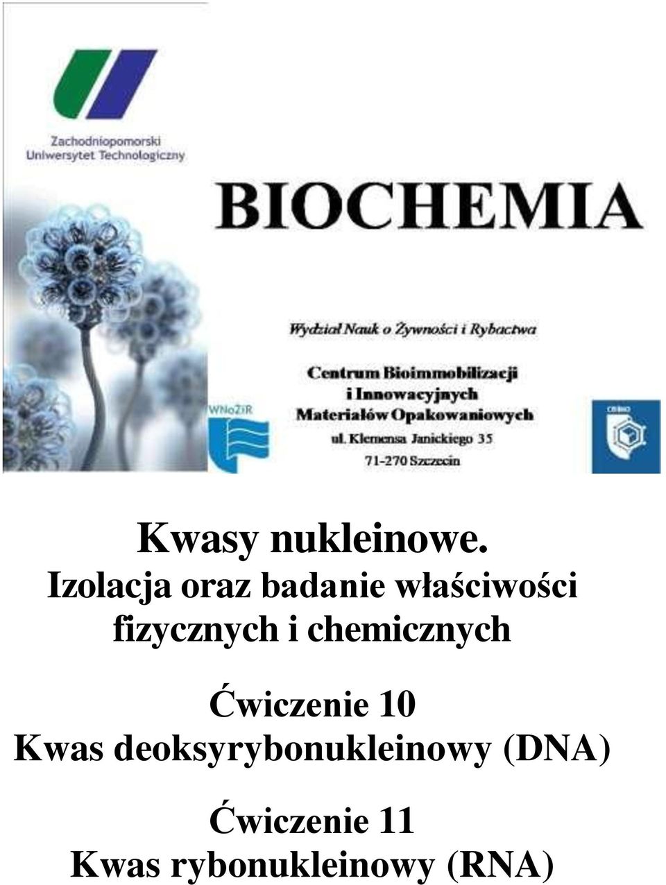 fizycznych i chemicznych Ćwiczenie 10