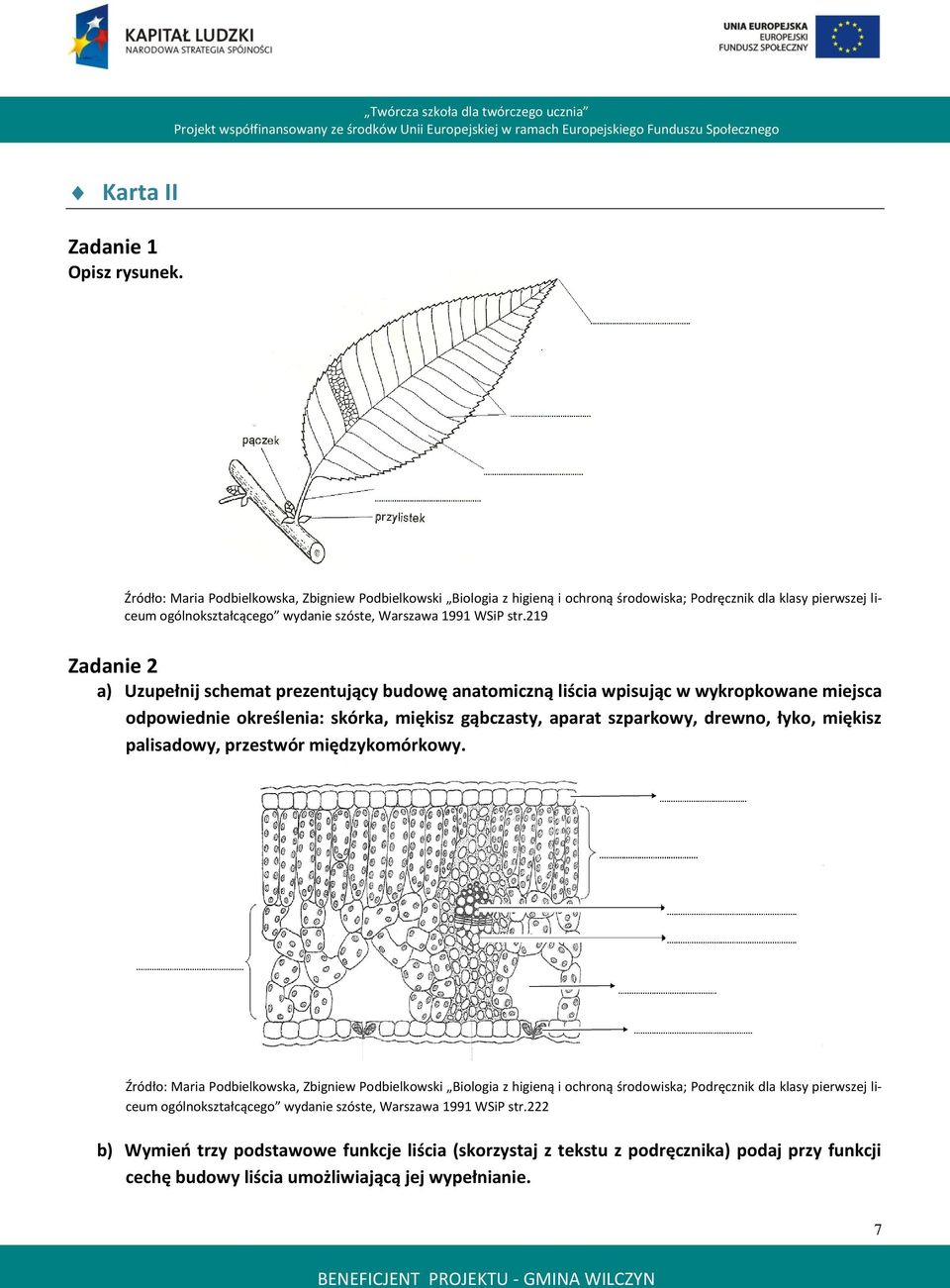219 Zadanie 2 a) Uzupełnij schemat prezentujący budowę anatomiczną liścia wpisując w wykropkowane miejsca odpowiednie określenia: skórka, miękisz gąbczasty, aparat szparkowy, drewno, łyko, miękisz