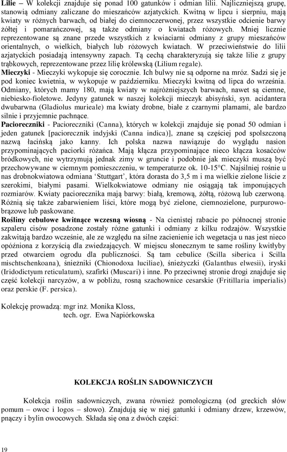 Mniej licznie reprezentowane są znane przede wszystkich z kwiaciarni odmiany z grupy mieszańców orientalnych, o wielkich, białych lub różowych kwiatach.