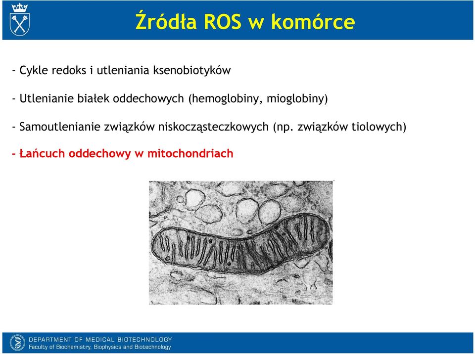 (hemoglobiny, mioglobiny) - Samoutlenianie związków