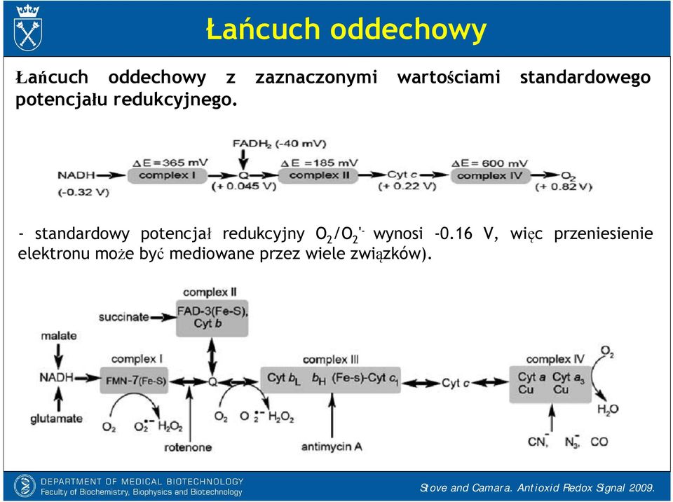 - standardowy potencjał redukcyjny O 2 /O 2 ' - wynosi -0.