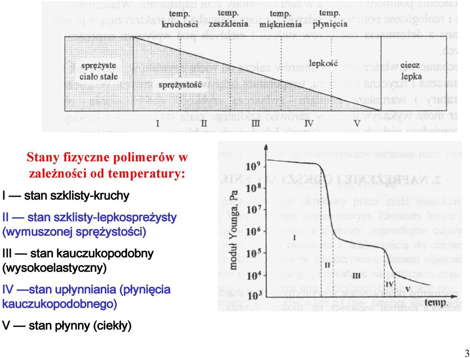 sprężystości) IIl stan kauczukopodobny (wysokoelastyczny) IV