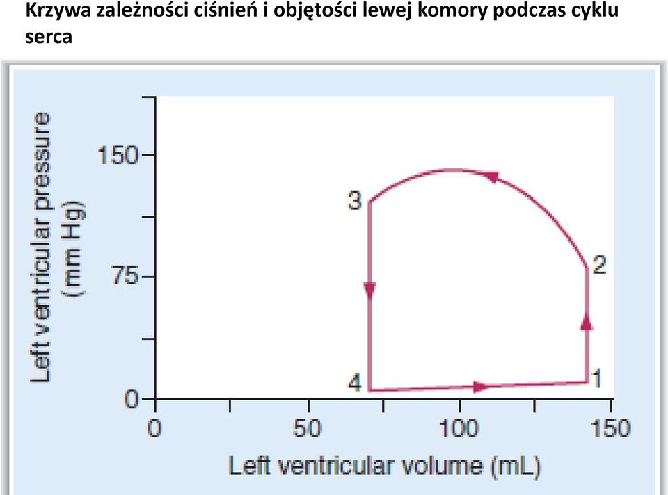 lewej komory podczas